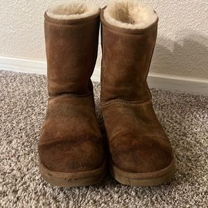Chestnut Uggs
